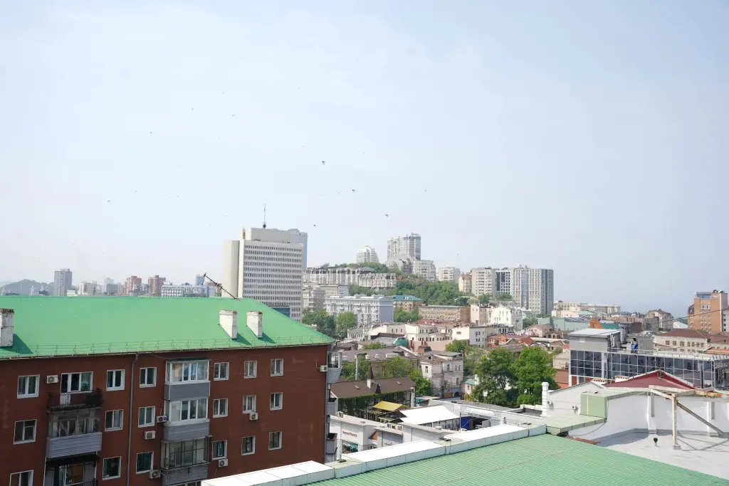 Владивосток: Апартаменты NOVA улица Семеновская, д. 25