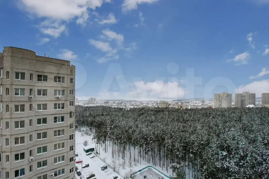 Воронеж: Квартира Какдома36 на Невского 25