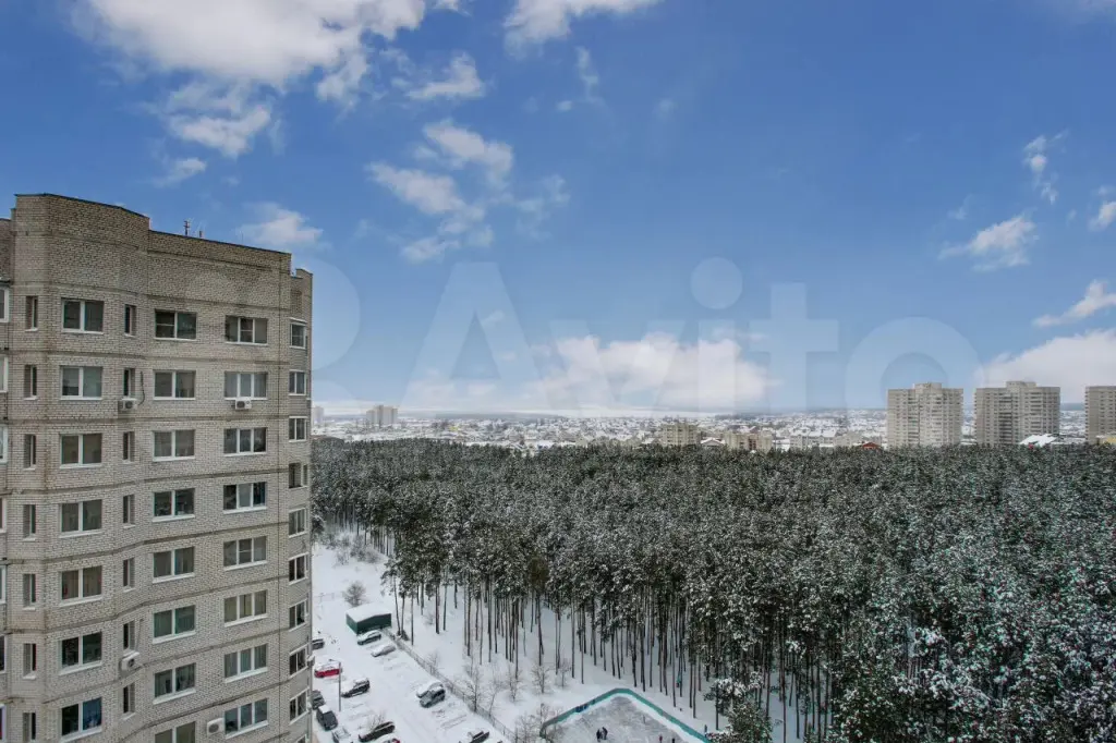 Воронеж: Квартира Какдома36 на Невского 25