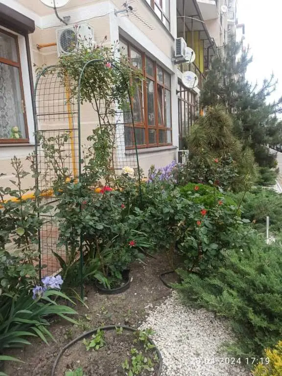 Геленджик: Квартира Черноморочка