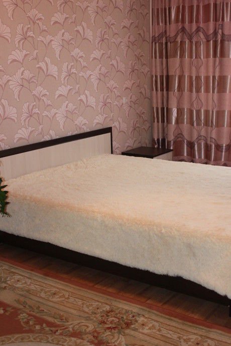 Энергетик: Gostevoy Dom