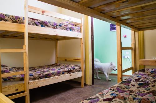 Троицк: Hostel Kuptsa Osipova