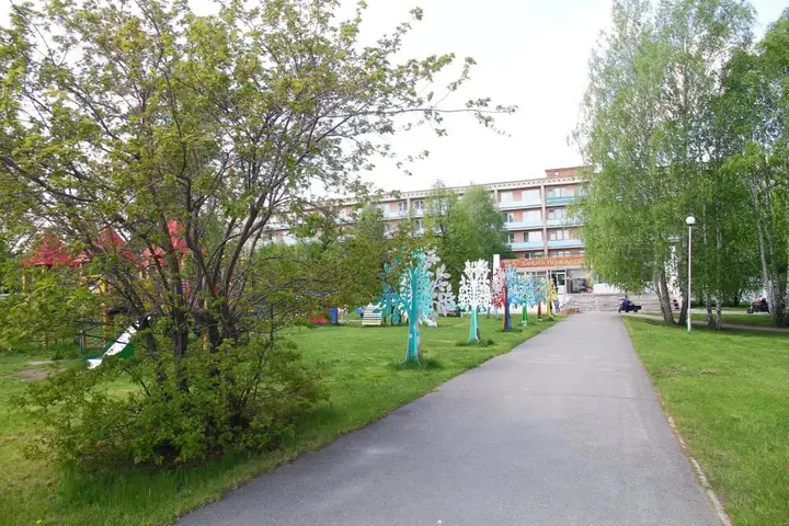 Карагайский: Karagajskij bor