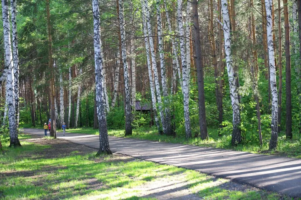 Карагайский: Karagajskij bor