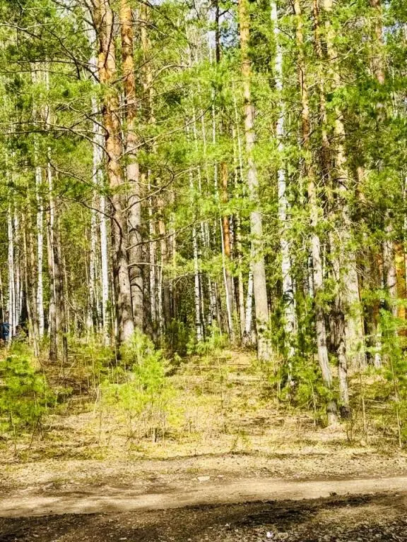 Дегтярск: Межгорье