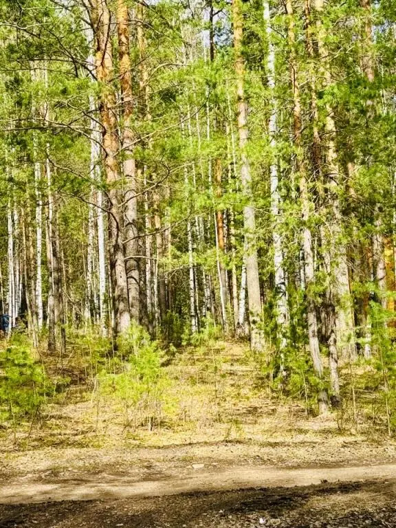 Дегтярск: Межгорье
