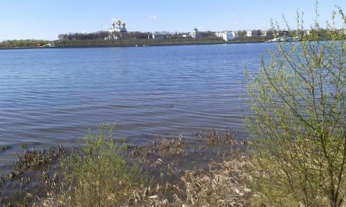 Ярославль: Guest house in Usadba