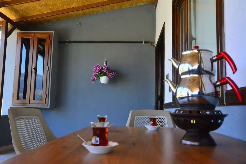 Сейдисехир: Kupe Dagi Termal Otel