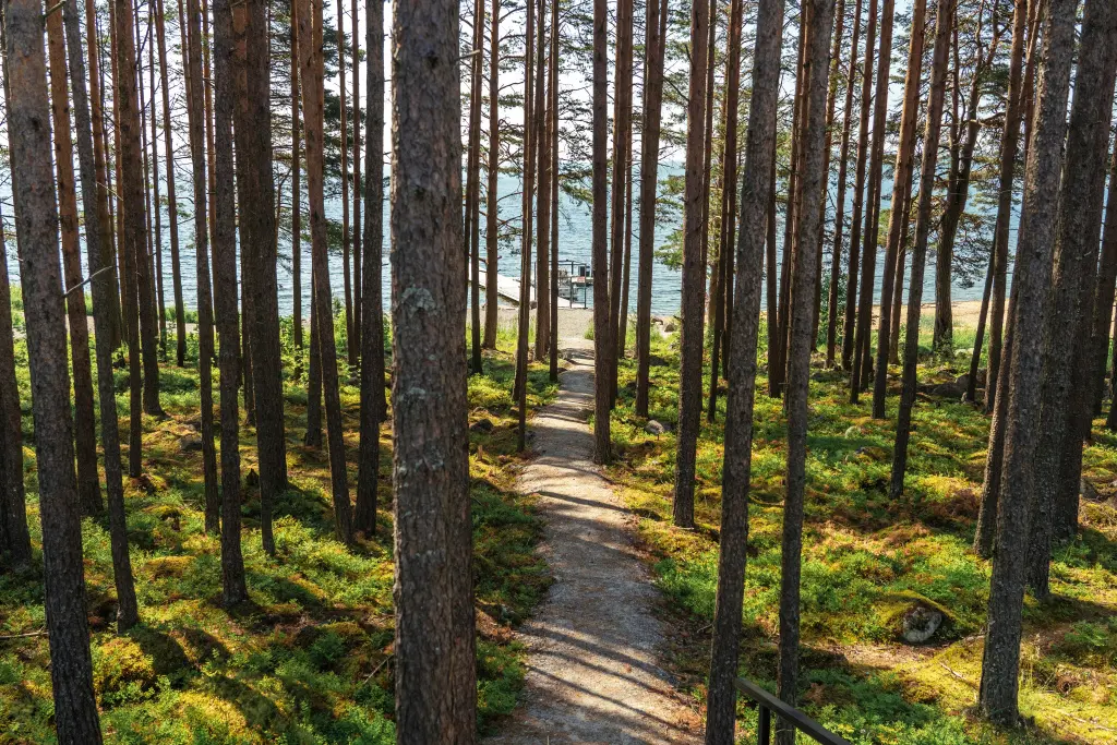 Медвежьегорск: Шале Green Club Family Karelia