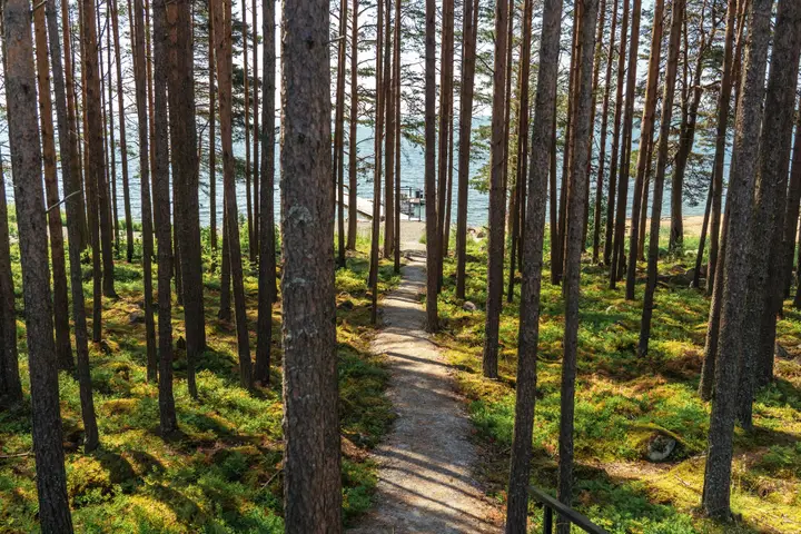 Медвежьегорск: Шале Green Club Family Karelia