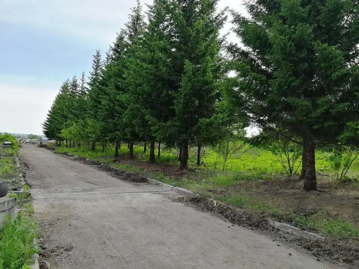 Ачинск: Антей