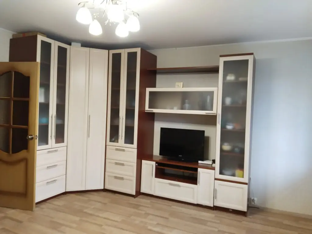 Нижний Новгород: Квартира на братьев Игнатовых 1к1