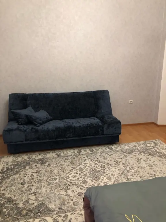 Владикавказ: Жилое помещение Ватутина 60