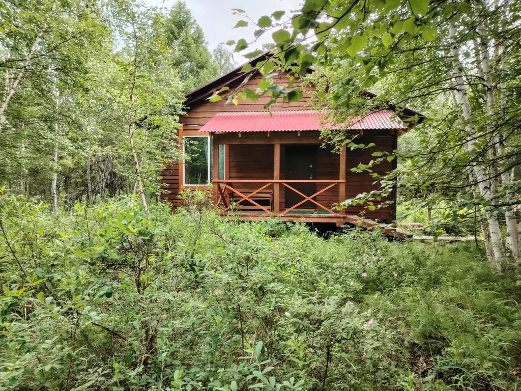 Эссо: Гостевой дом Cozy nook