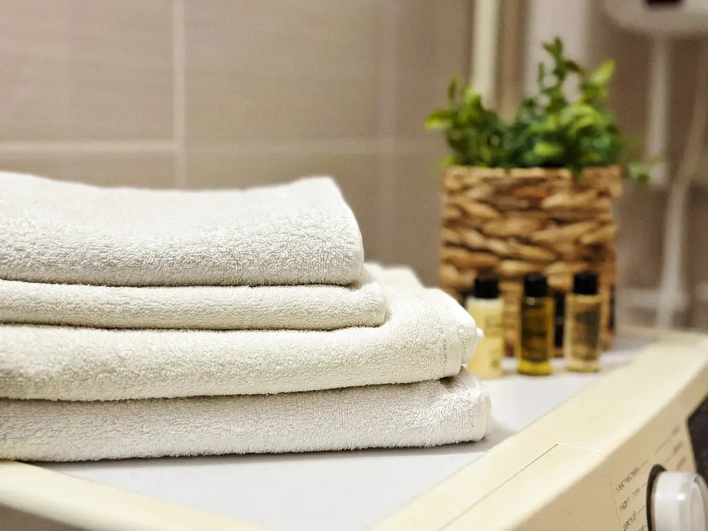 Воронеж: Большая трехкомнатная квартира на Московском проспекте