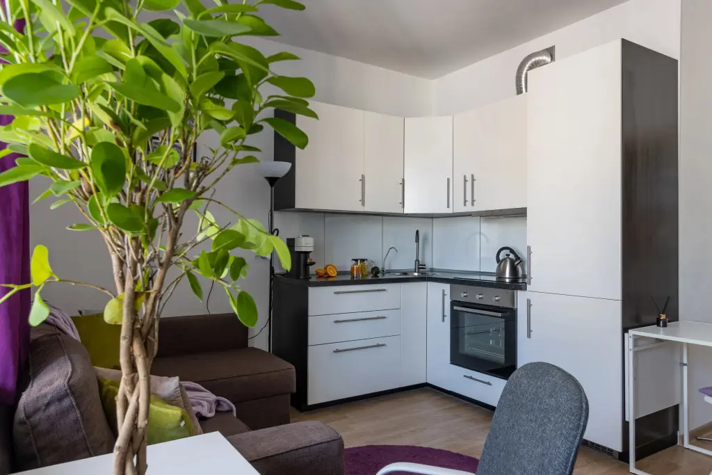Санкт-Петербург: Апартаменты Студия Eliza Home в Кудрово