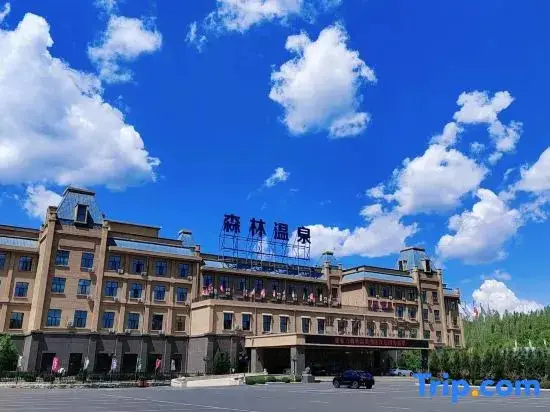 Yabuli Forest Hot Spring Hotel — фото 1
