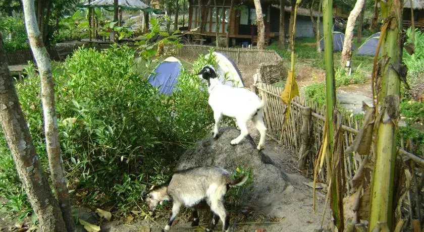 Паи: Bannumhoo Homestay