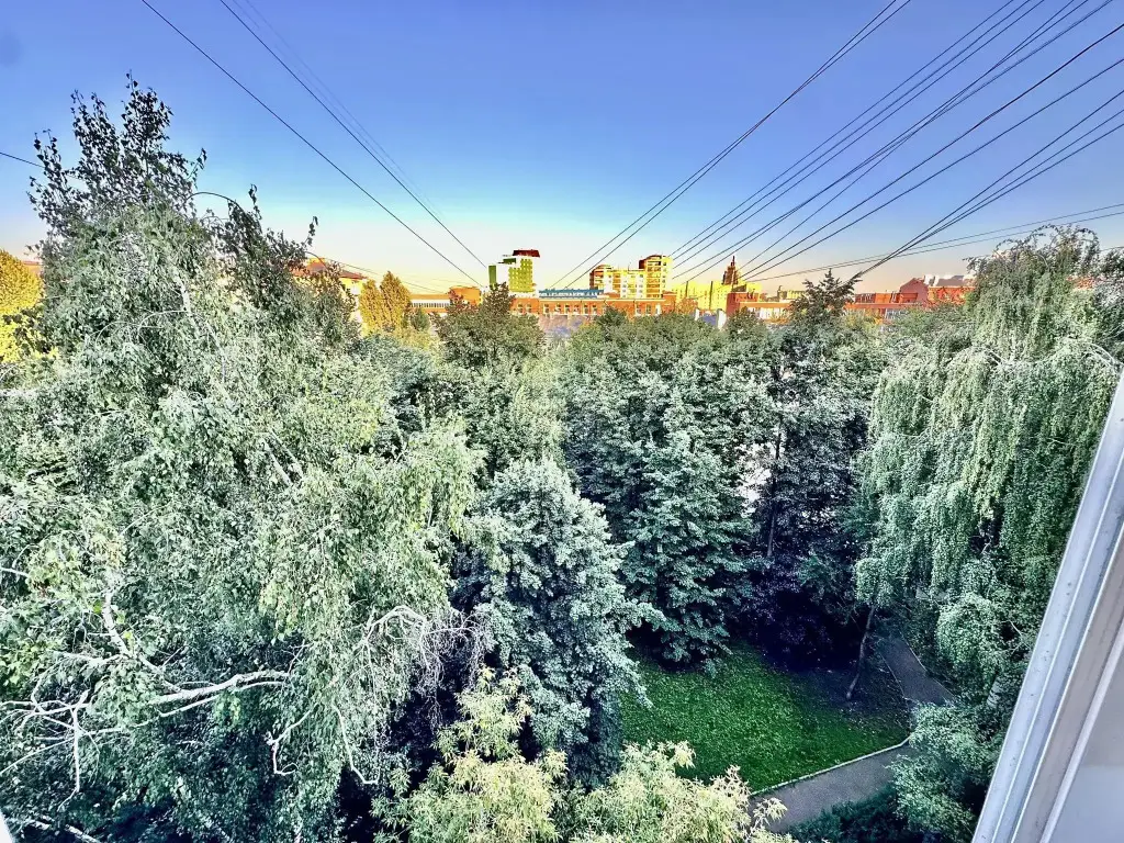 Москва: Moscow Apartment (Москоу Апартмент) на улице Новолесная