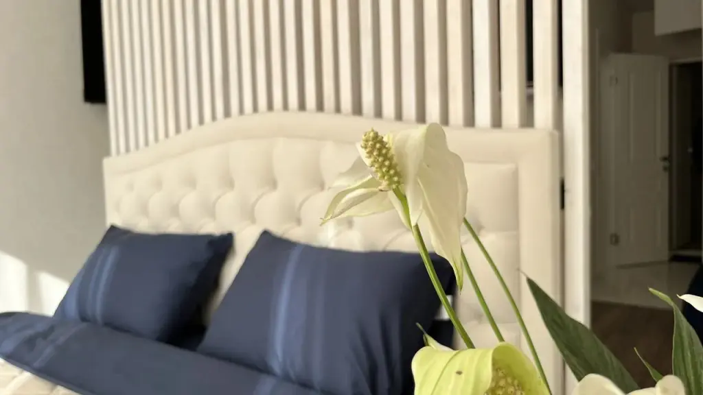 Казань: Апартаменты Moments House Нео-Классика
