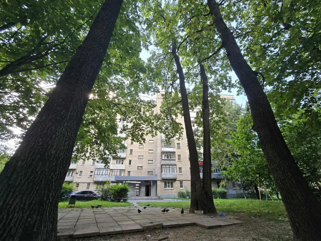 Обнинск: Квартира экономкласса