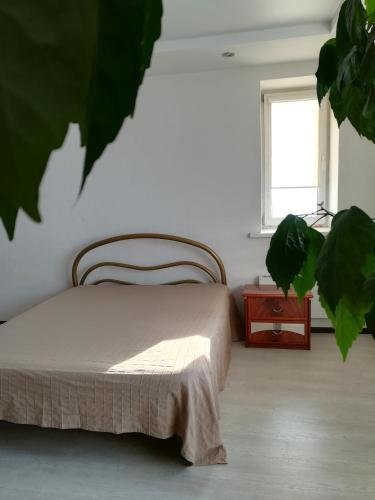Новосибирск: Apartment Karla Marksa 11