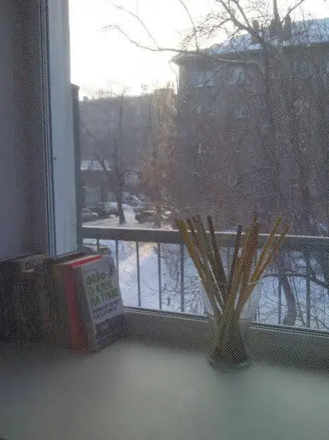 Новосибирск: На Дуси Ковальчук