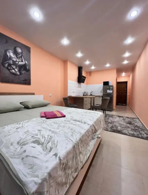 Квартира студия 30 м² 25/25 этаж — фото 1