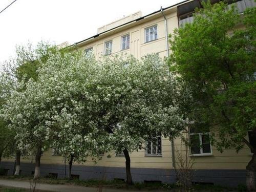 Новосибирск: Emodji Hostel