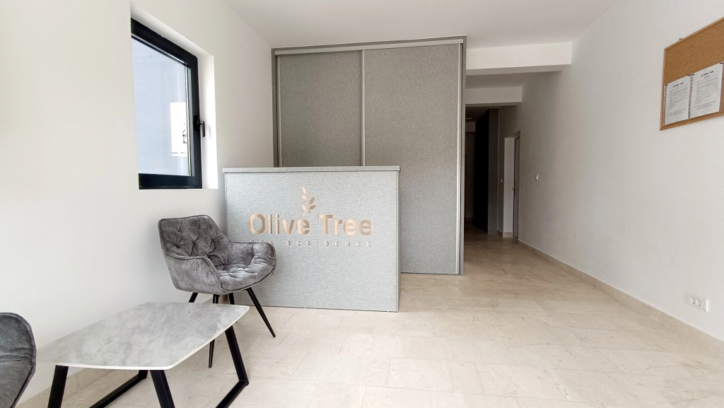 Бечичи: Апартаменты Olive Tree Apartments