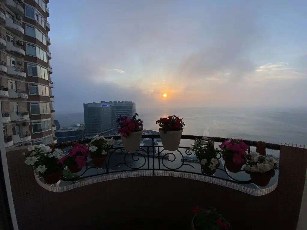 Владивосток: Квартира Beautiful House of Flowers