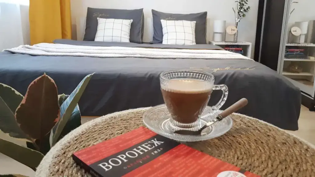 Воронеж: Квартира на Ягодной 10