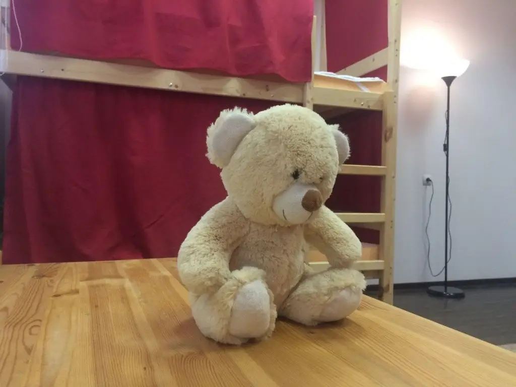 Новосибирск: Жилые помещения Teddy bear