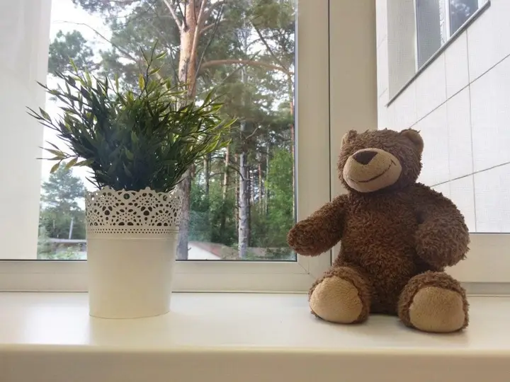 Новосибирск: Жилые помещения Teddy bear