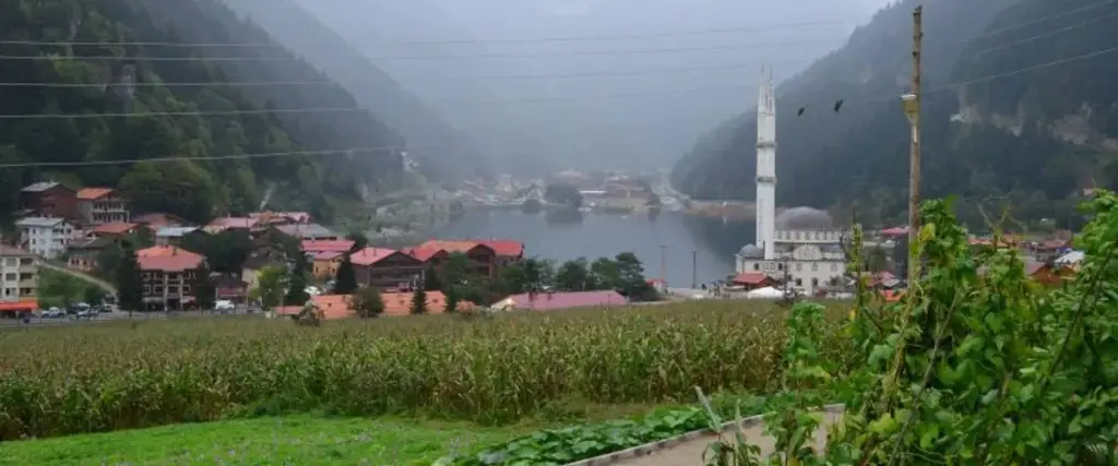 Uzungöl Öztürk Hotel — фото 1