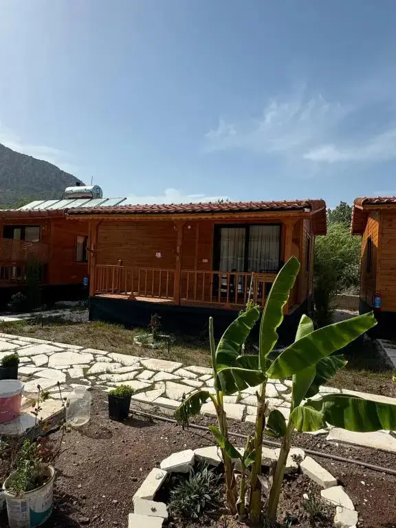 Адрасан: Porto Ceneviz  Apart