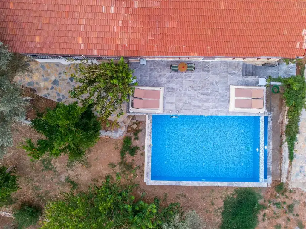 Villa Rose Garden Fethiye — фото 1