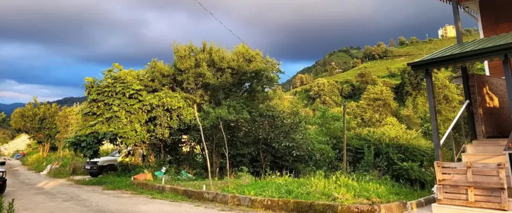 Ардешен: Umut Apart Rize