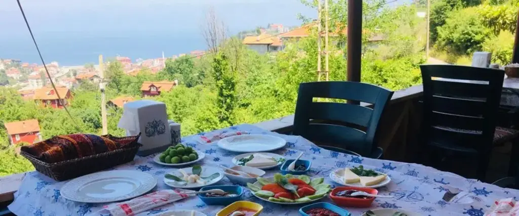 Инеболу: Sahin Tepesi Otel