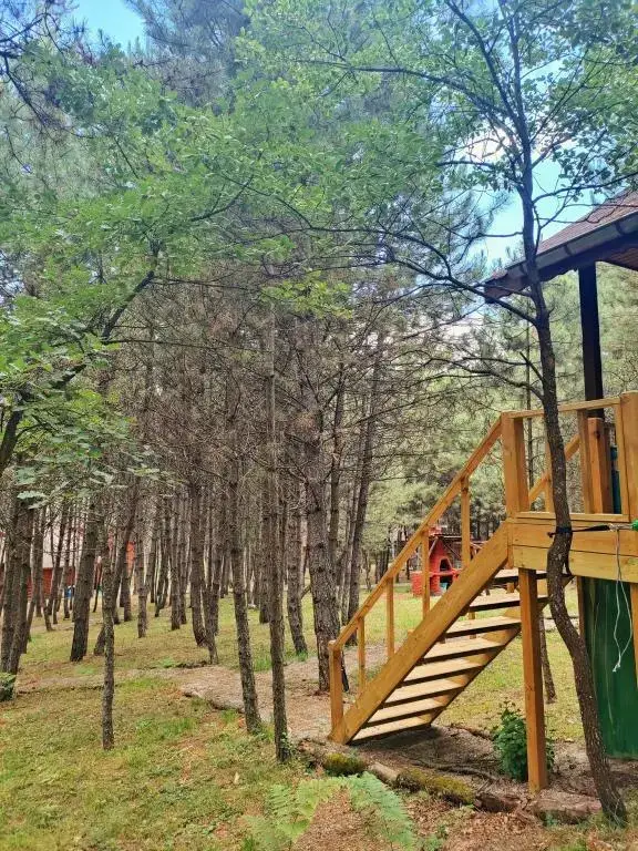 Гереде: Campinari Doga Evleri & Restaurant