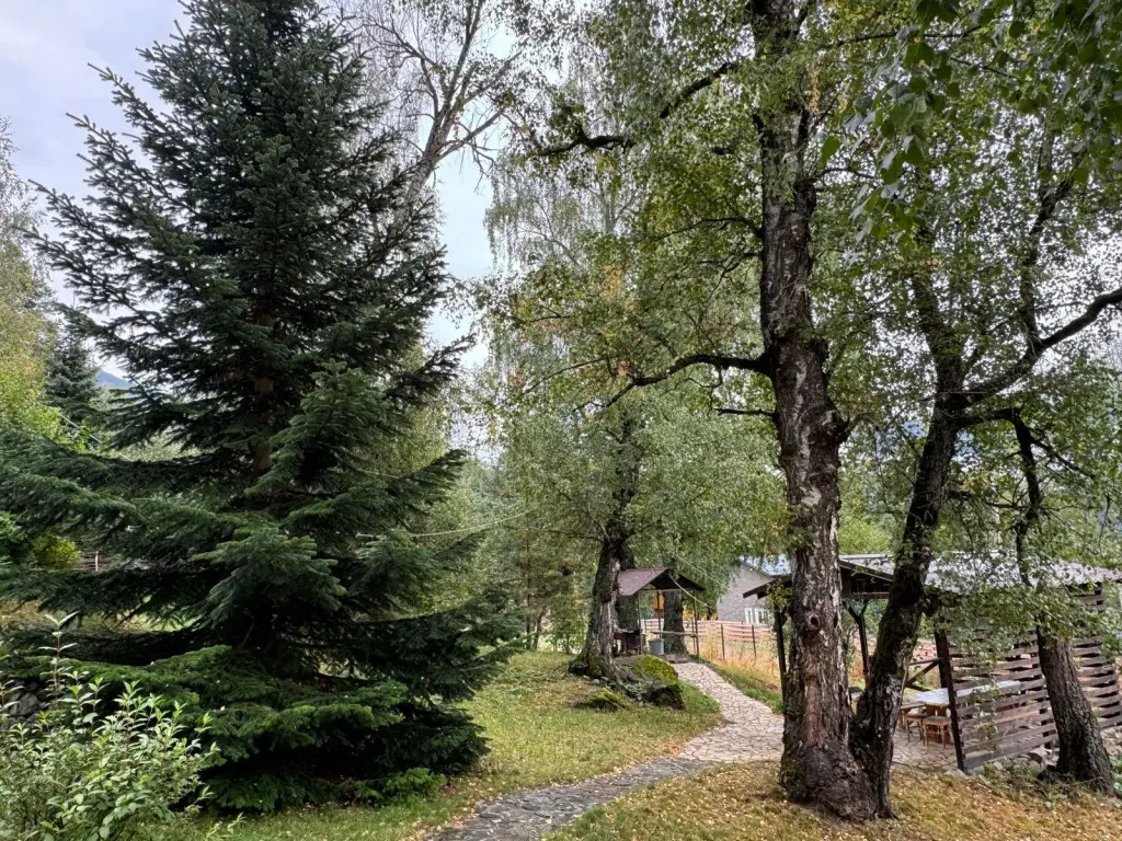 Архыз: База отдыха Woodland