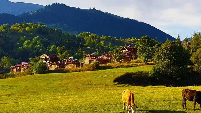 Явузкой: Laset Bungalov Tatil Koyu