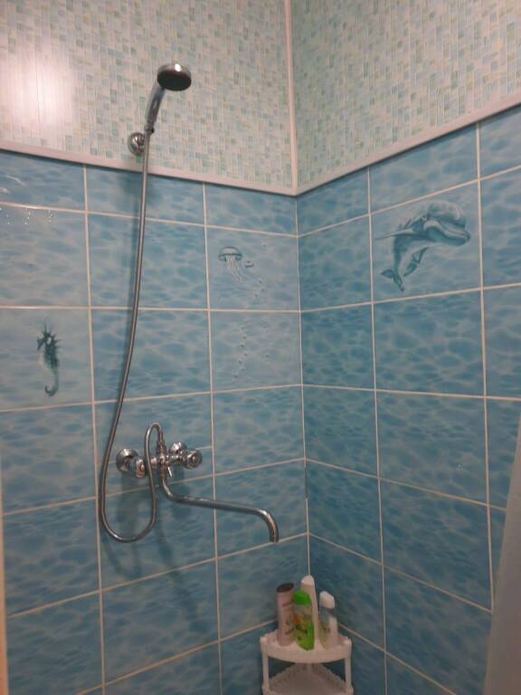 Осташков: Частный дом Уютный на Cелигере