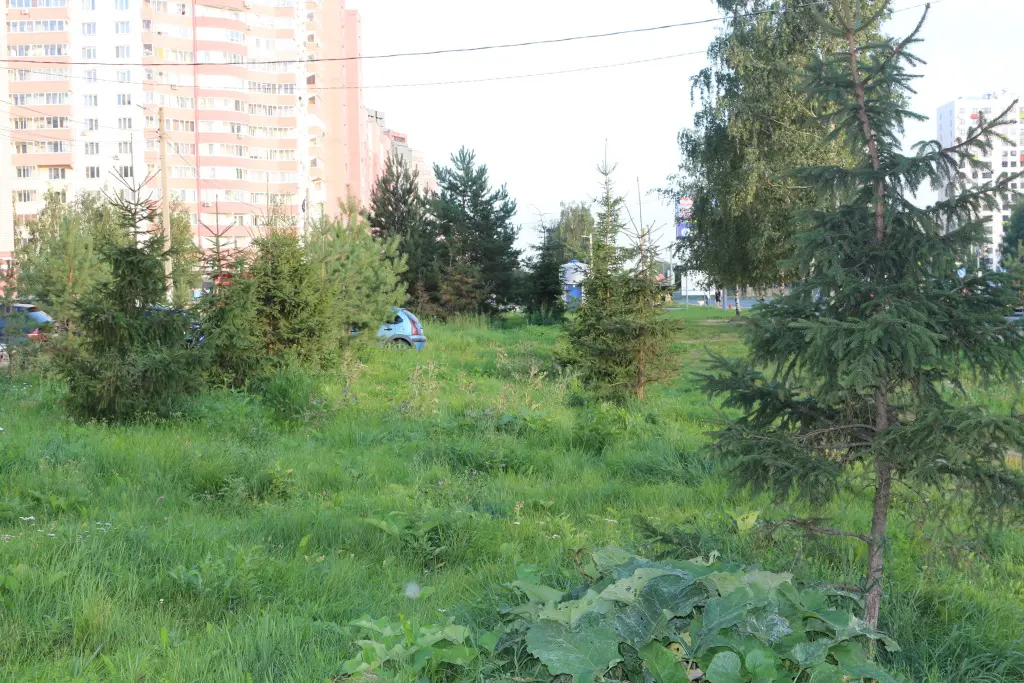 Ярославль: Квартира NiceAparts Фрунзе 31