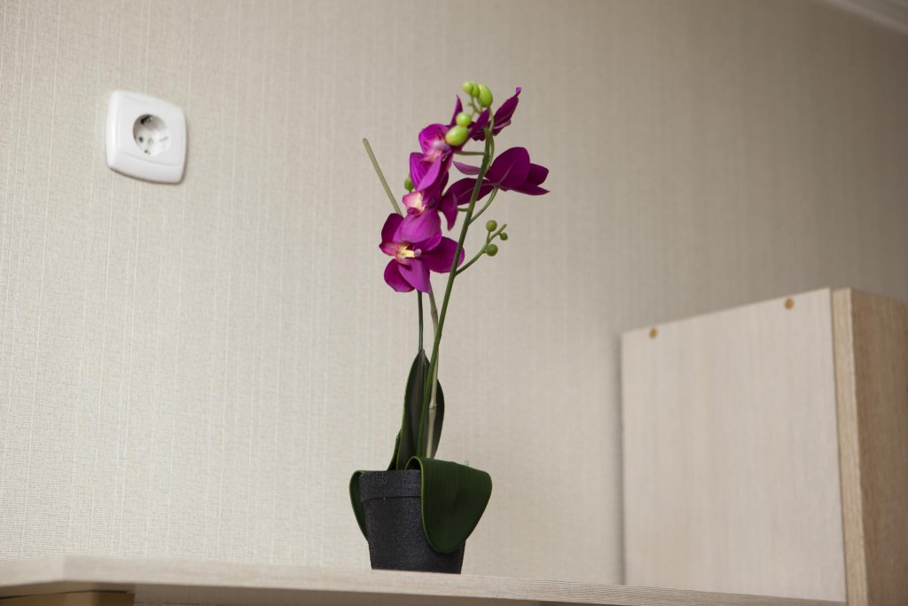 Новосибирск: Rusdom Sweet Apartments (Русдом Свит) на Крылова