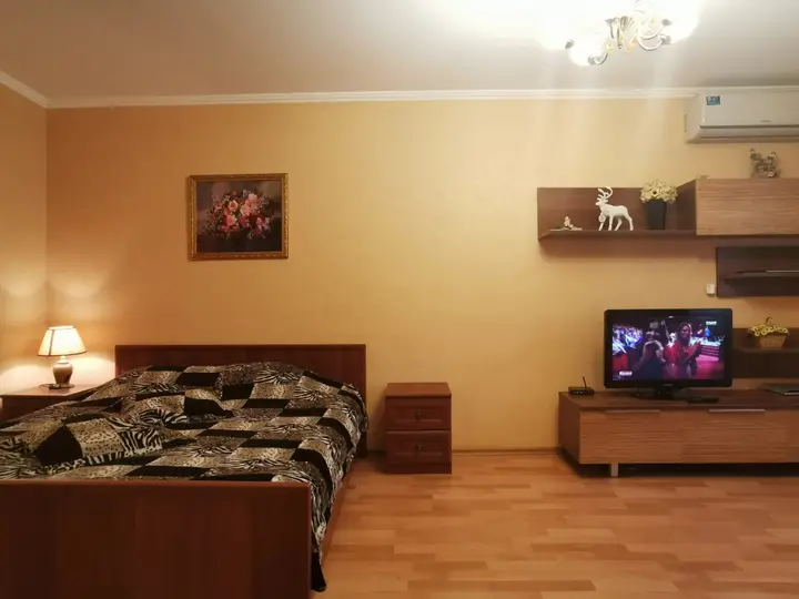 Новосибирск: Квартира Sibkvart Перевозчикова 10