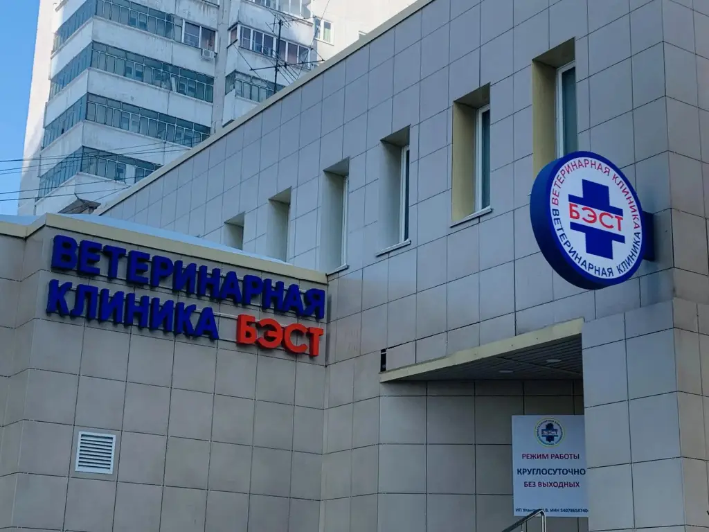 В гости на улице Ленина 81 — фото 1