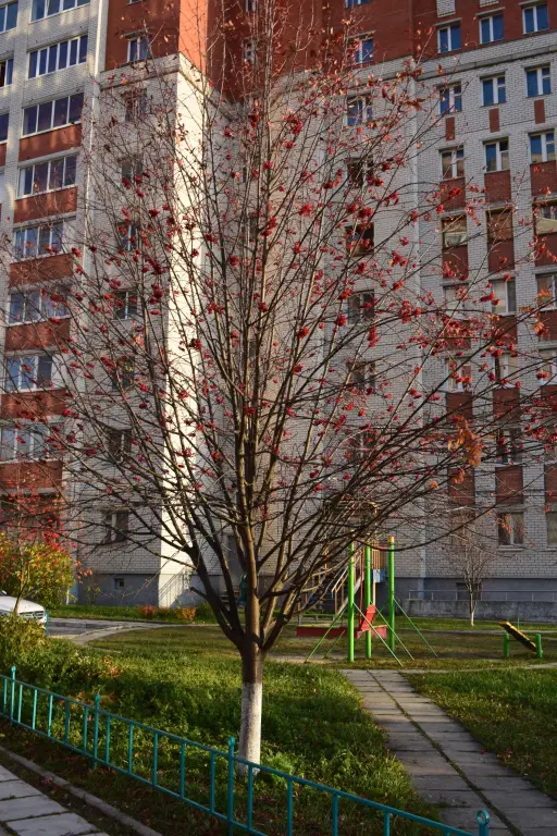 Хостел Гагарин — фото 1