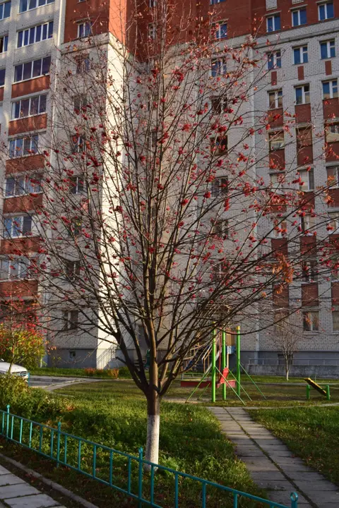 Хостел Гагарин — фото 1
