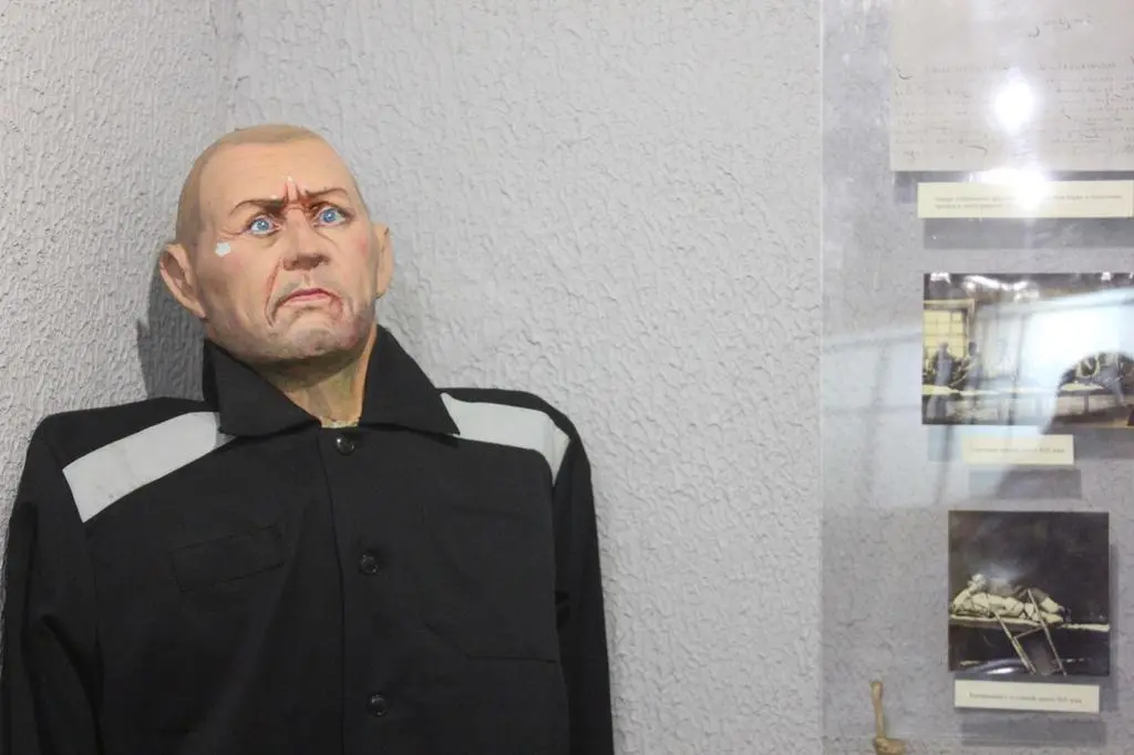 Владимир: Hostel Muzey-Bar Svoboda